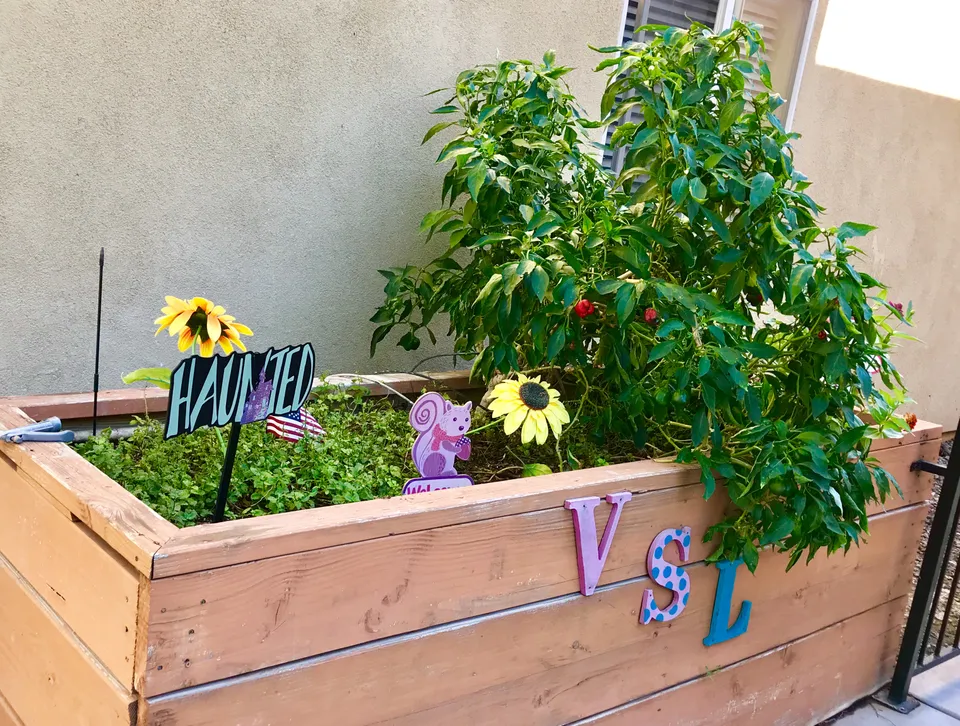 Visions Assisted Living of Apache Junction, photo 15 of 33