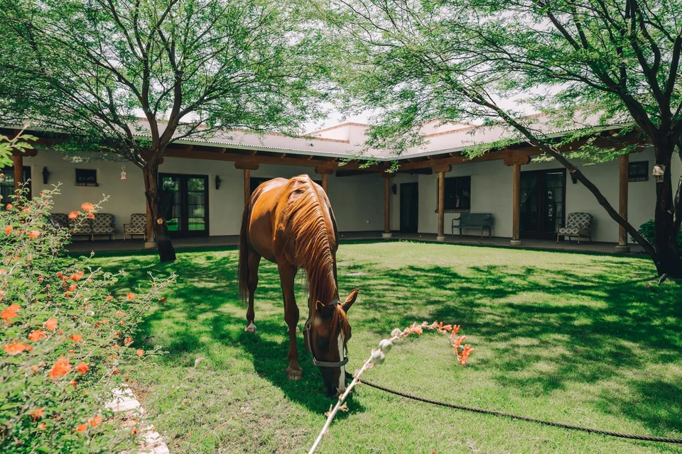 The Hacienda at the River, photo 34 of 40