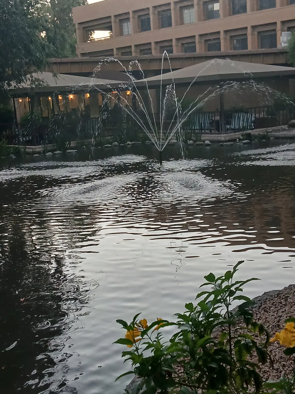 Thunderbird Senior Living, photo 17 of 33