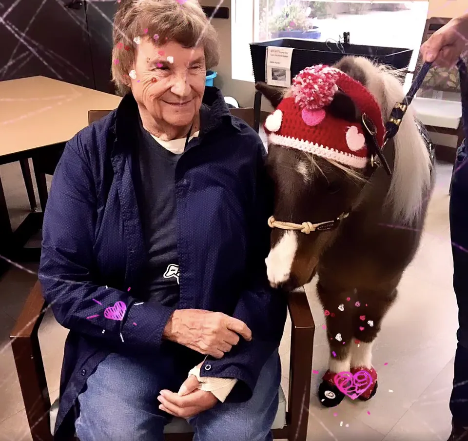 Terra Pointe Memory Care, photo 18 of 40
