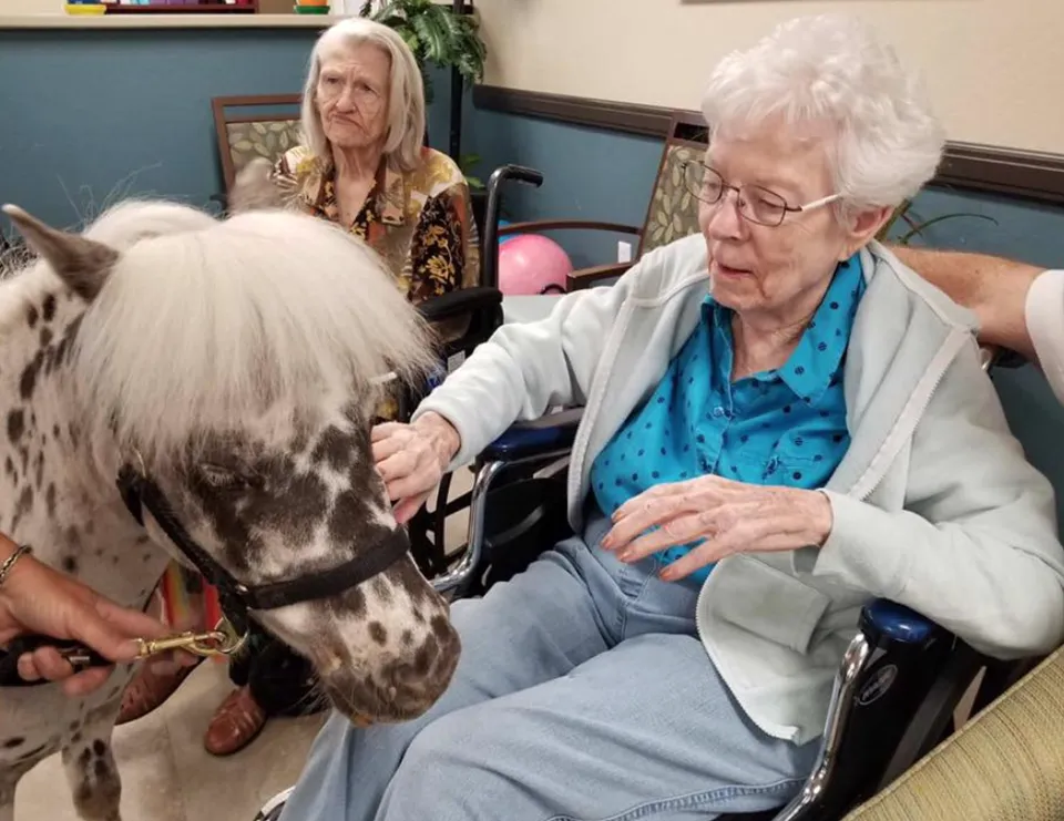 Terra Pointe Memory Care, photo 29 of 40