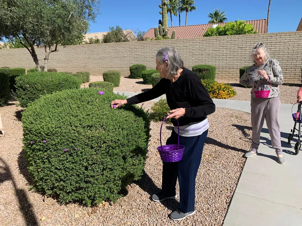 Avista Sun City West, photo 20 of 24