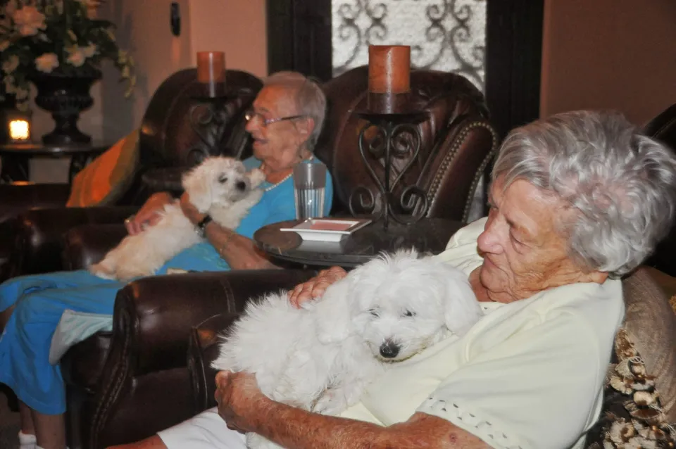 Golden Heritage Assisted Living Home, photo 25 of 33