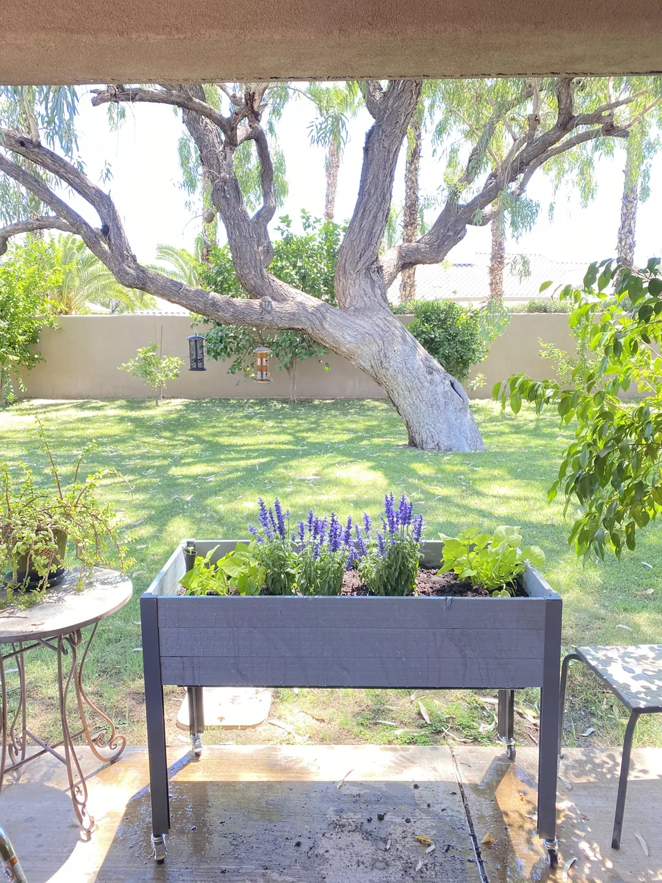 Golden Heritage Assisted Living Home, photo 9 of 33