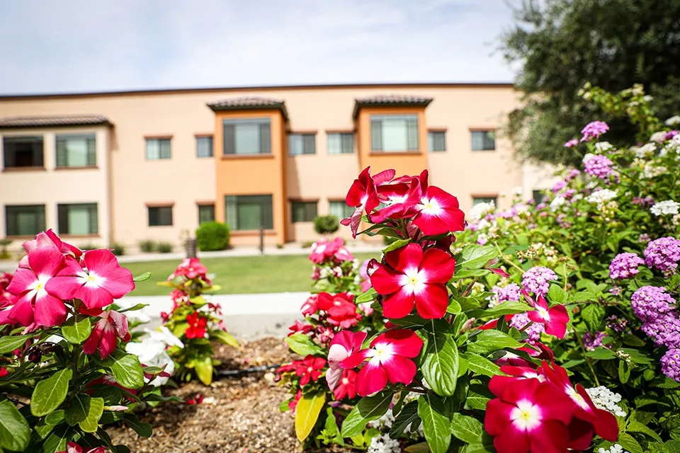 Orchard Pointe at Terrazza, photo 8 of 38