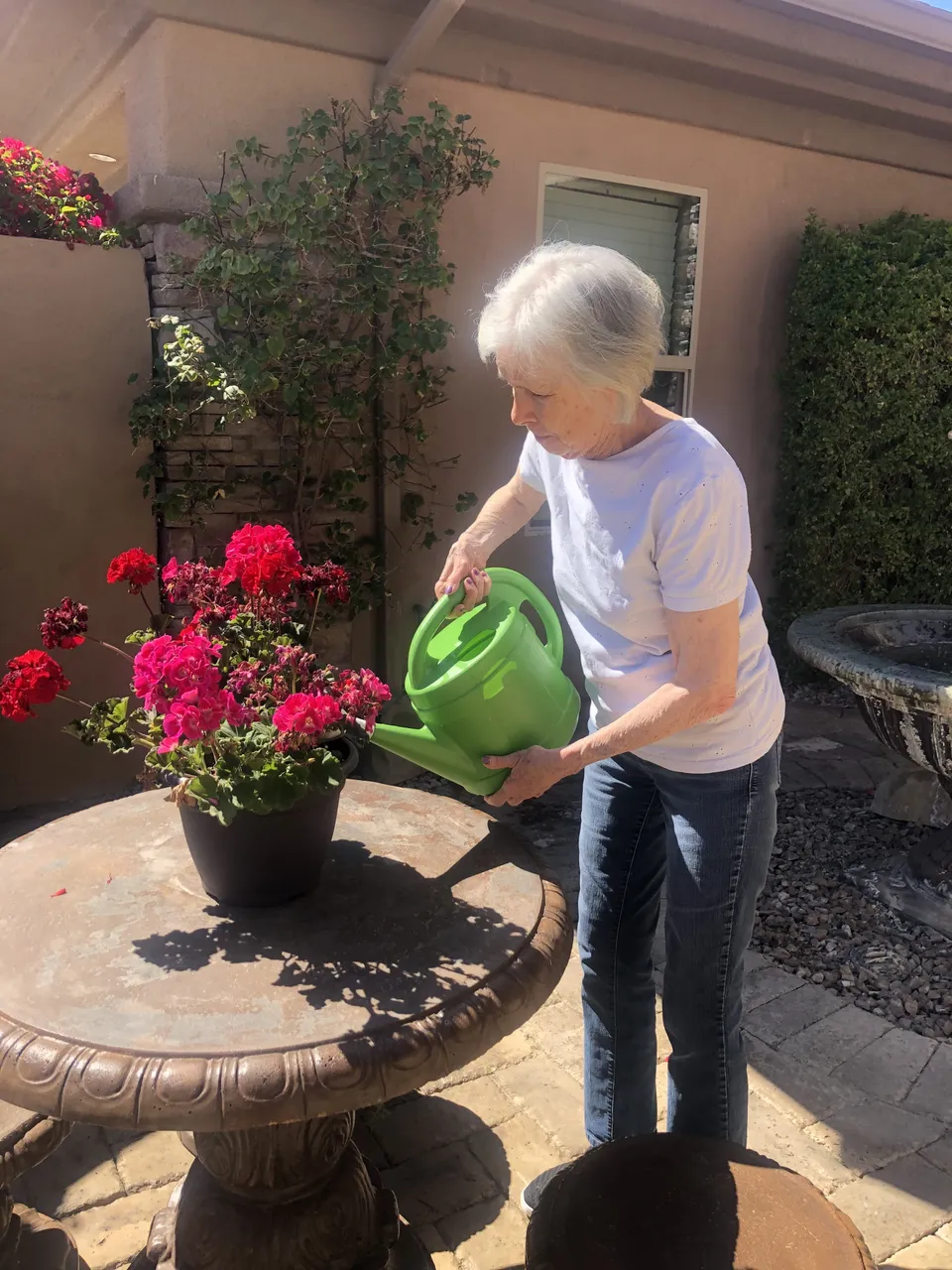 Mountain Cove Luxury Care, photo 11 of 24