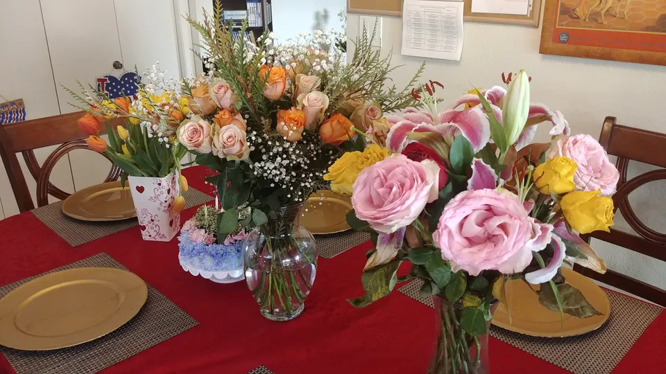 Paradise Valley Foothills Assisted Living, LLC, photo 17 of 30