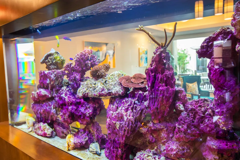 Eternal Spring Assisted Living and Memory Care, photo 13 of 35