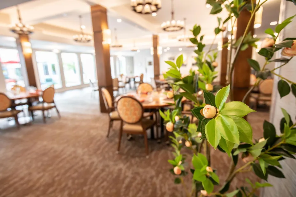 Eternal Spring Assisted Living and Memory Care, photo 17 of 35