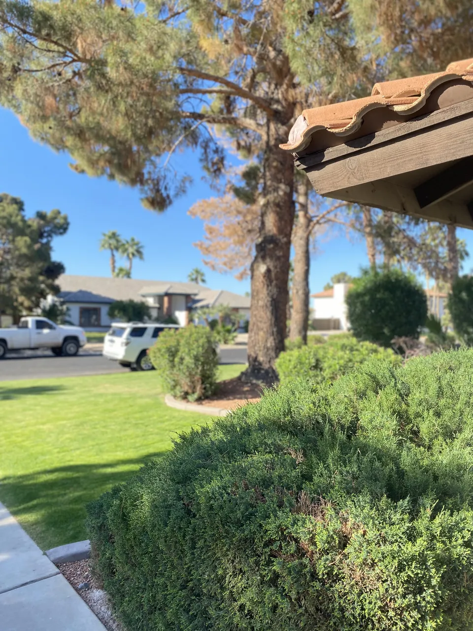 Vandermeyer Senior Homecare LLC, photo 17 of 37