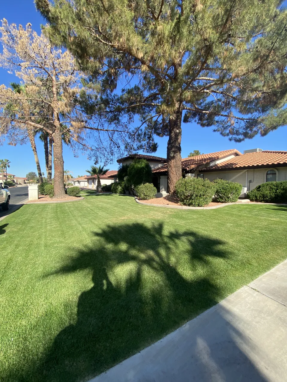 Vandermeyer Senior Homecare LLC, photo 29 of 37