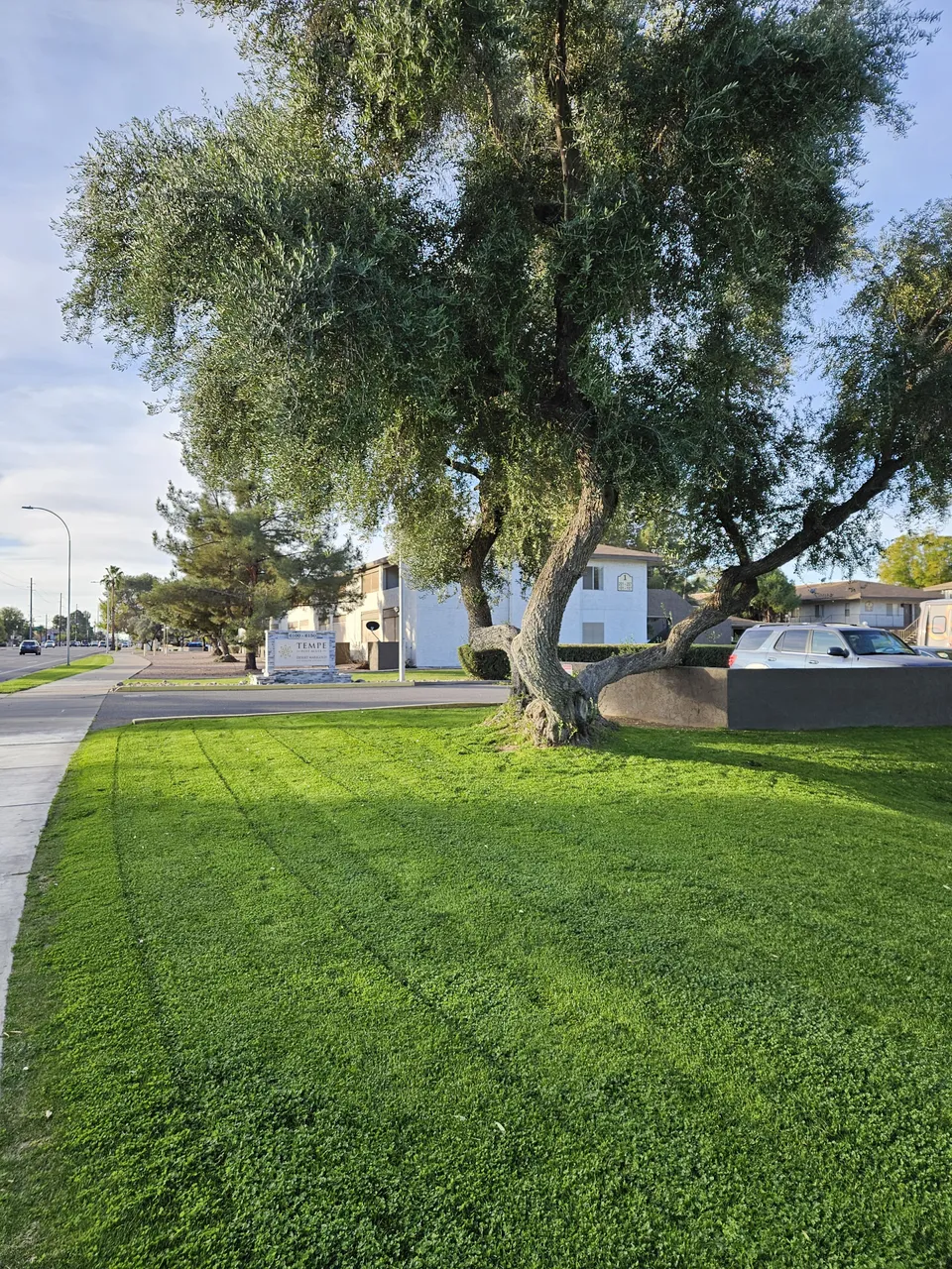 Desert Marigold Senior Living, photo 22 of 36