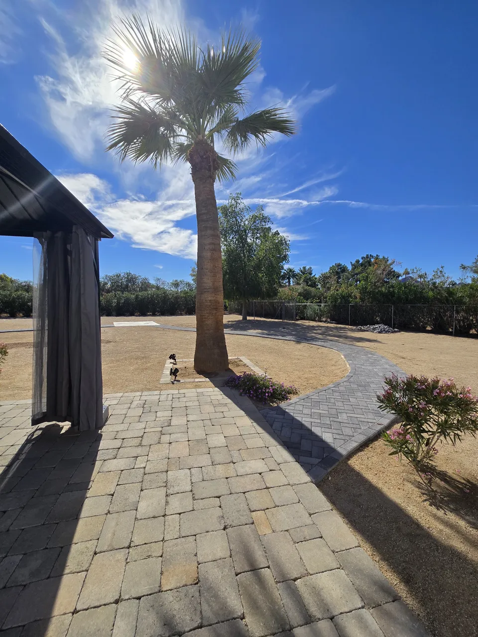Sunrise Care Homes Sunnyvale, photo 14 of 25