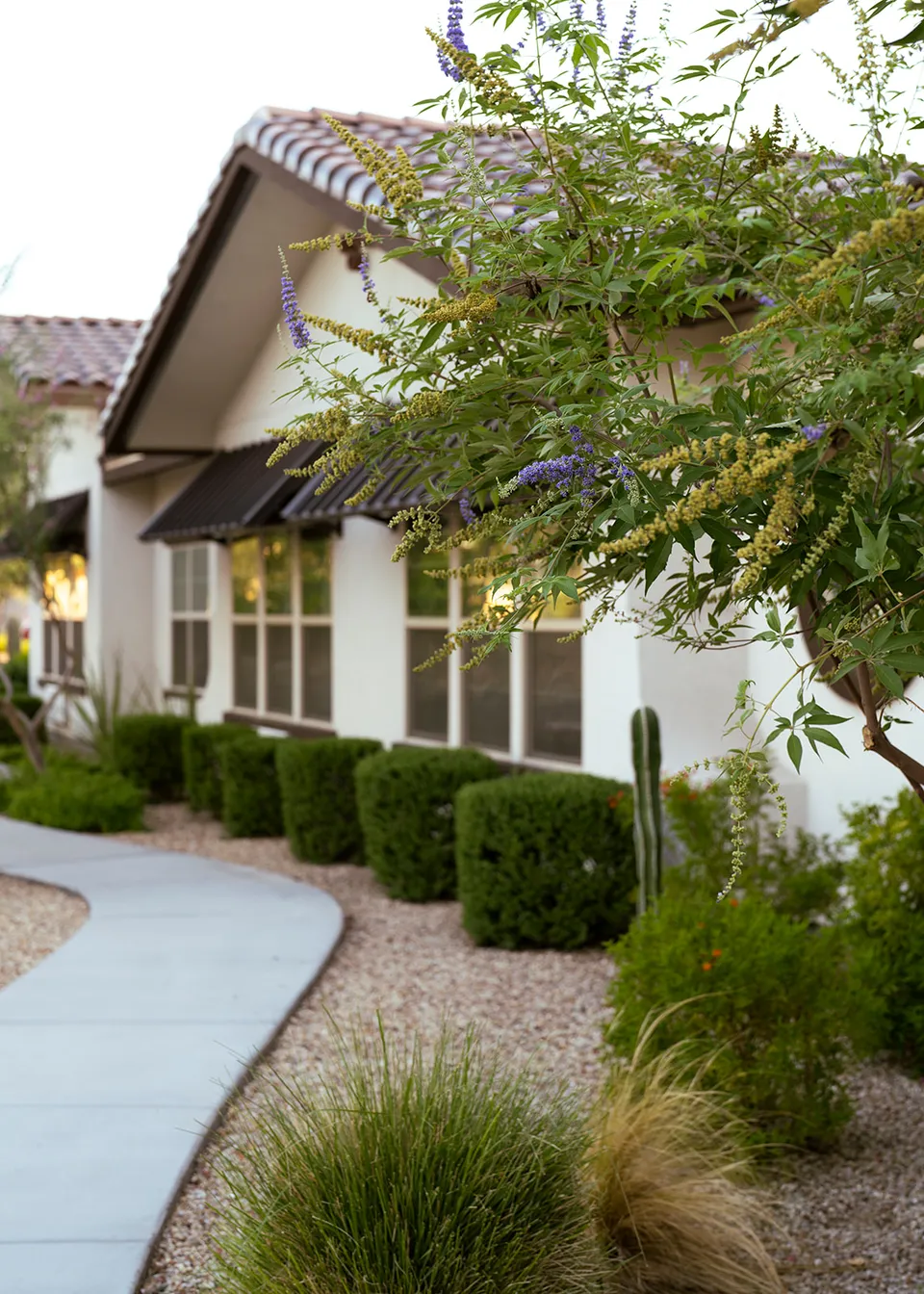 Shadow Mountain Memory Care, photo 11 of 38