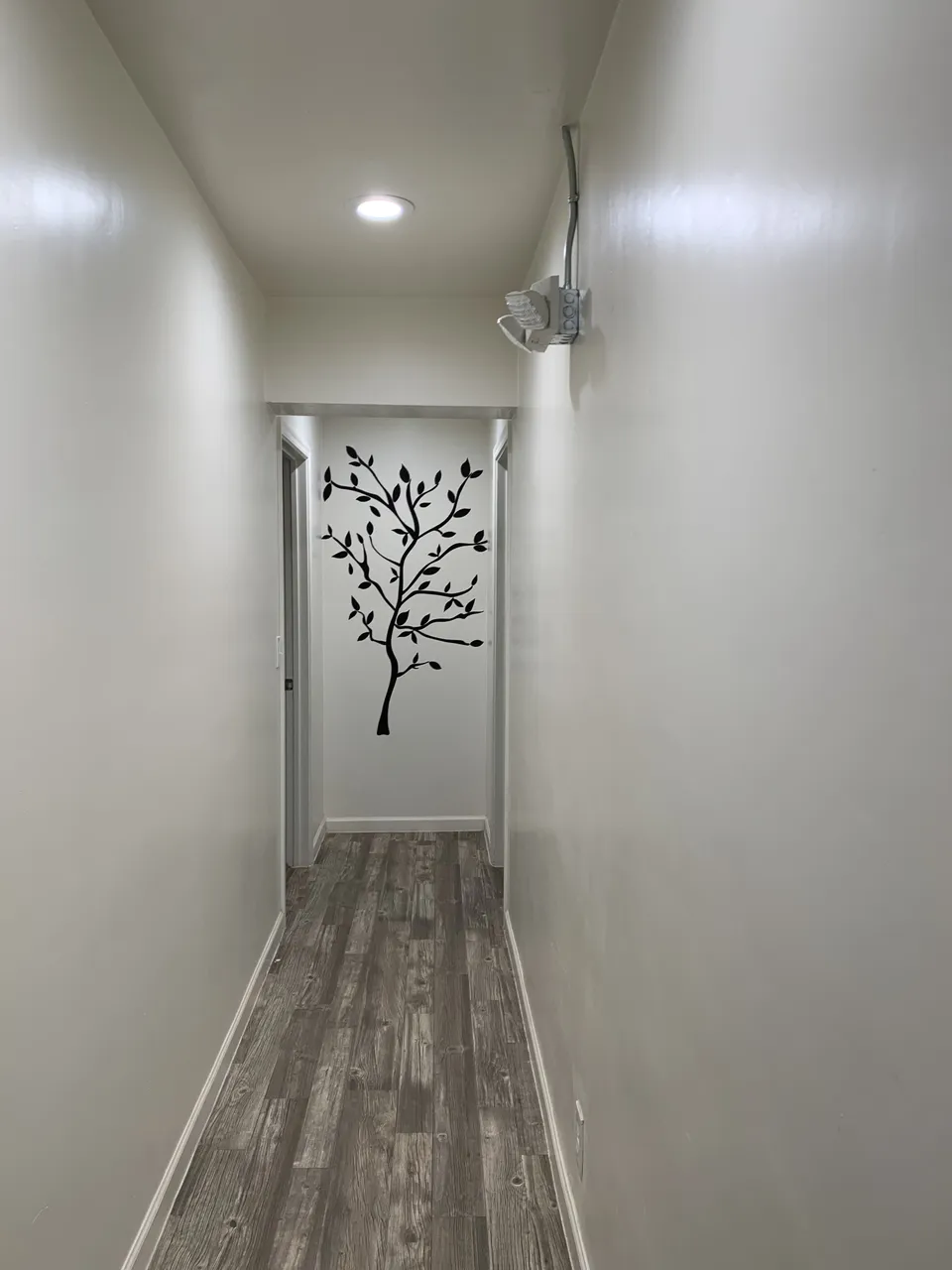 Gifted Hands Assisted Living, LLC, photo 8 of 8