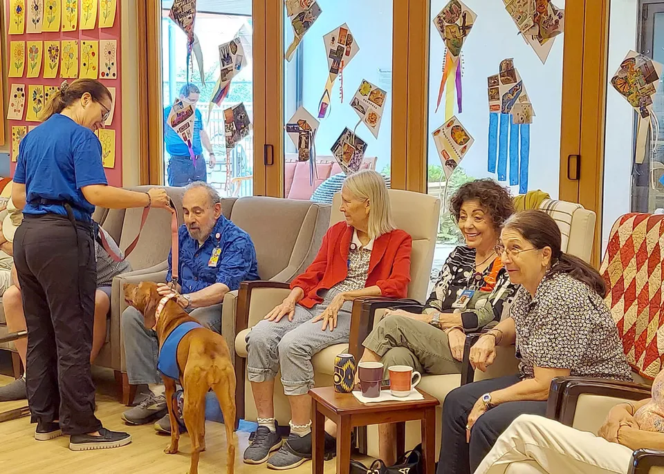 Assisted Living at the Dementia Care and Education Campus, photo 23 of 33