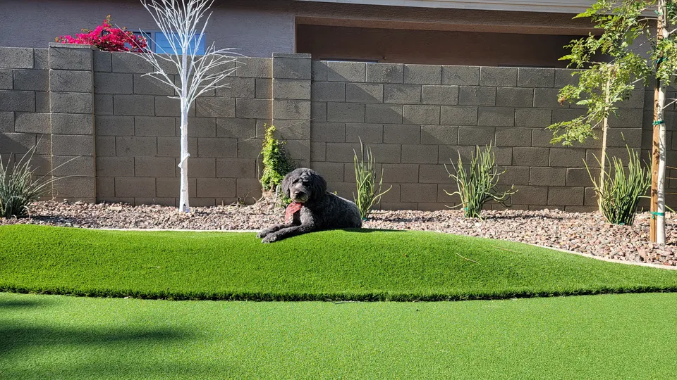 Anthem Senior Manor Assisted Living & Memory Care, photo 10 of 40