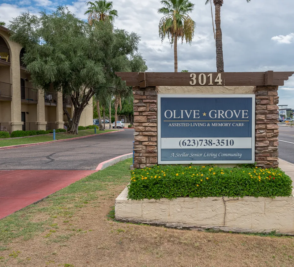 Olive Grove, photo 2 of 35