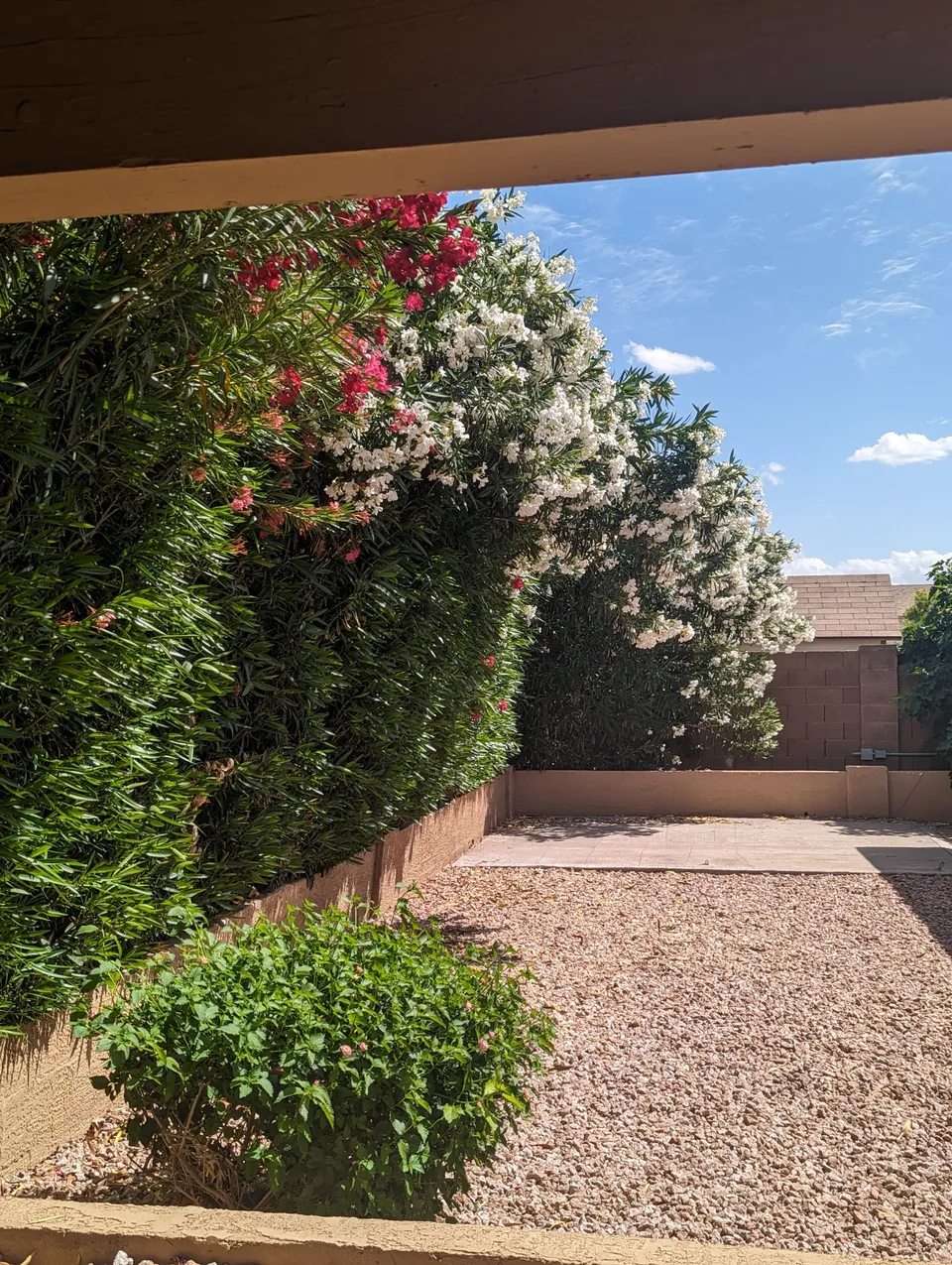Serene Haven Living LLC, photo 17 of 20