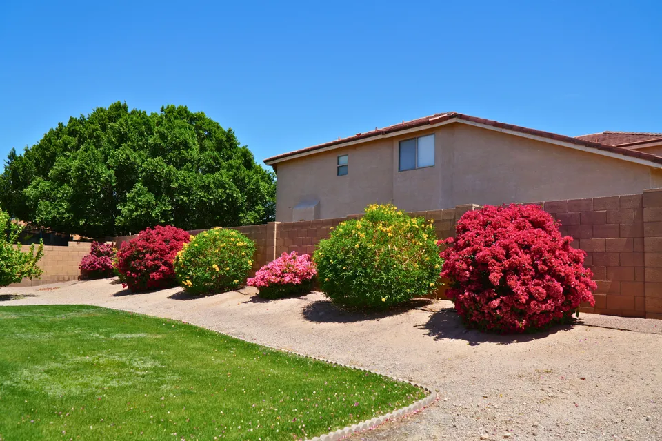 Estancia at Avoca, photo 2 of 7
