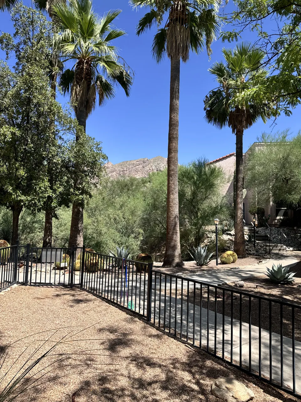 Brookdale Santa Catalina, photo 7 of 8
