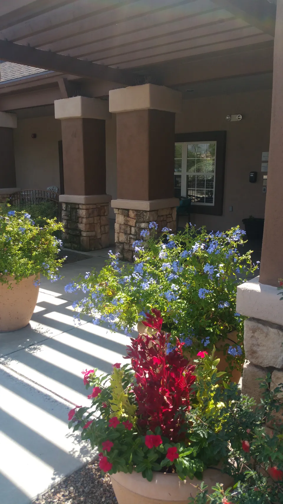 Brookdale East Tucson, photo 6 of 6