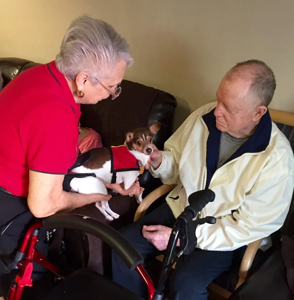Chaparral Winds Retirement Community, photo 10 of 22