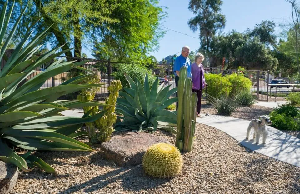 The Terraces of Phoenix, photo 23 of 40