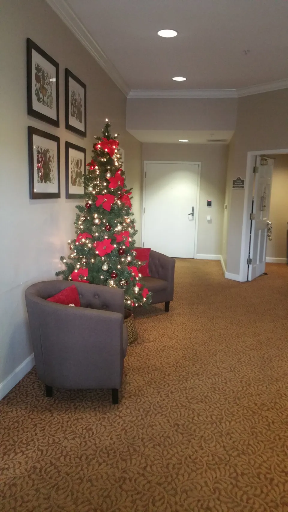 Brookdale East Mesa, photo 6 of 15