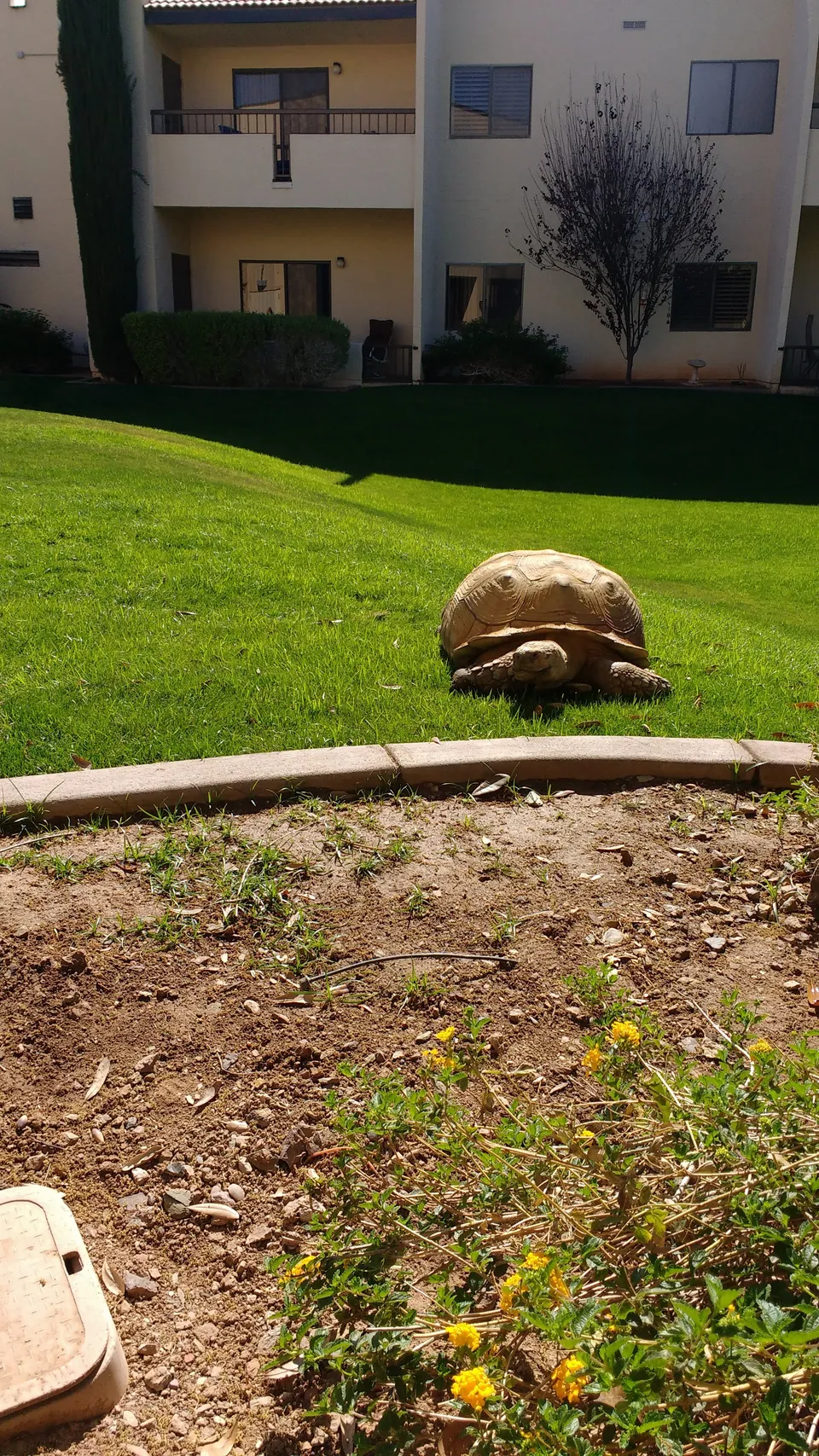 Sackton Assisted Living, photo 36 of 38