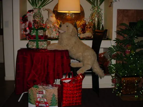 Cherry's Assisted Living Home, photo 14 of 38