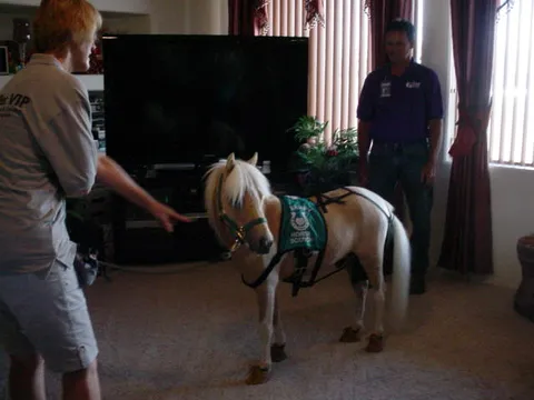 Cherry's Assisted Living Home, photo 29 of 38