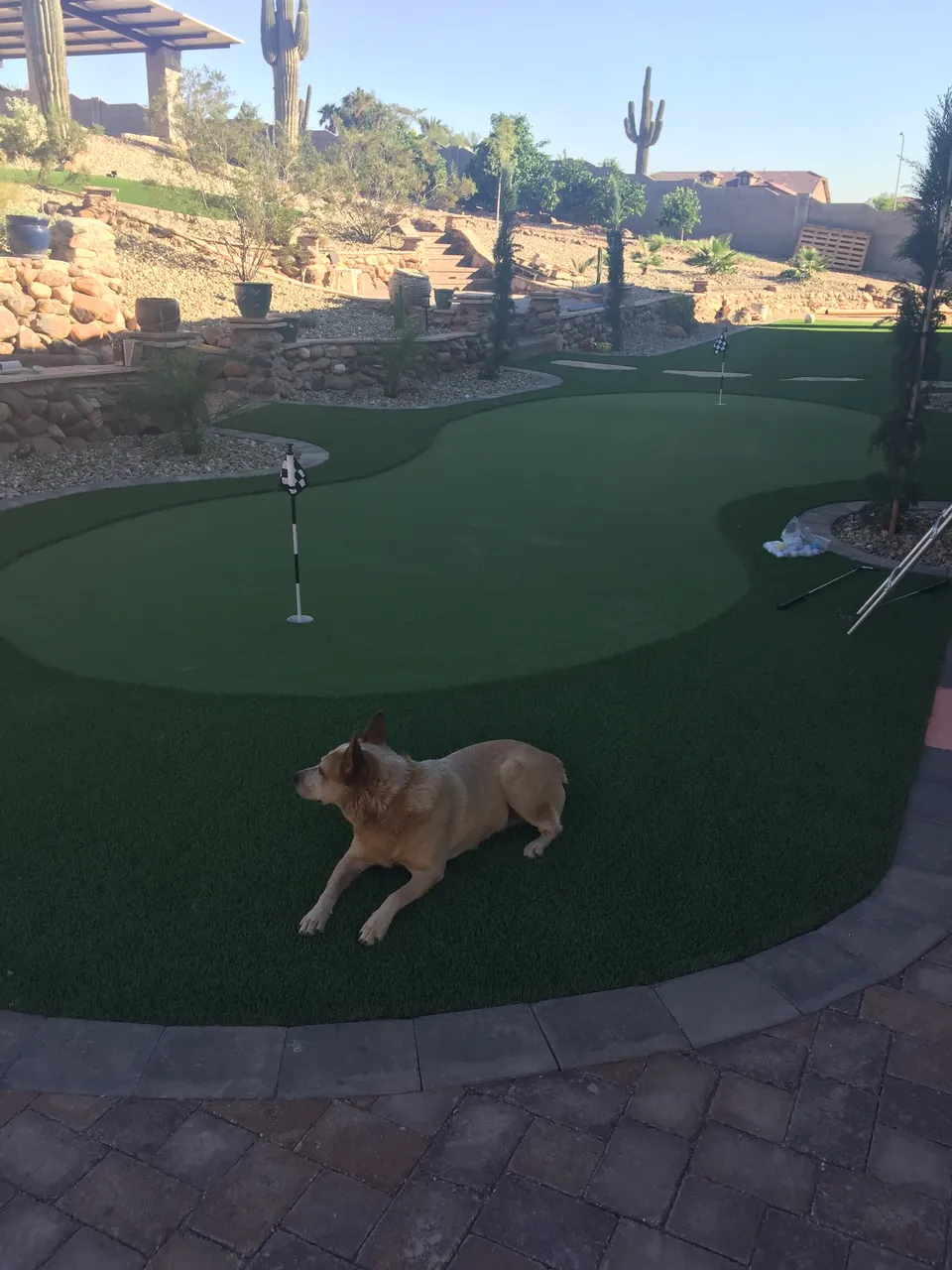 Desert Joy Assisted Living, photo 18 of 18