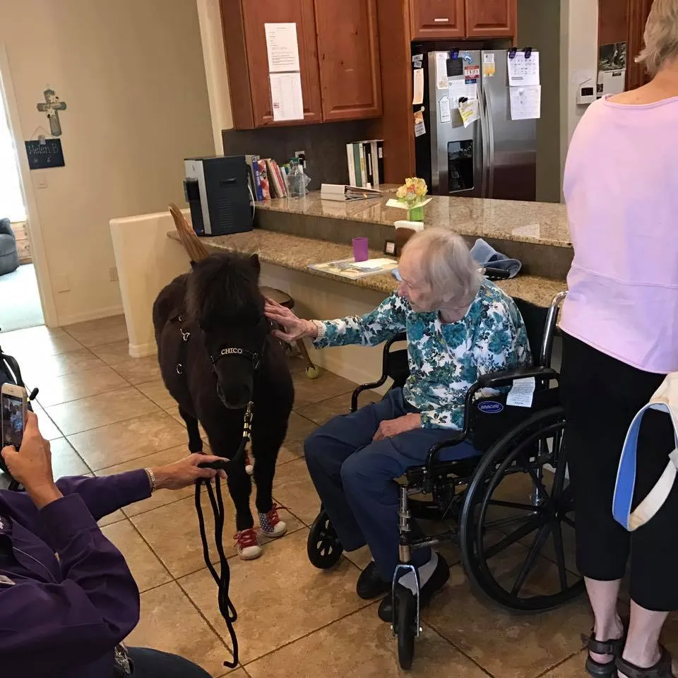 Aspen Care I, photo 9 of 16