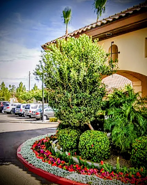 Silver Creek Inn, photo 14 of 23