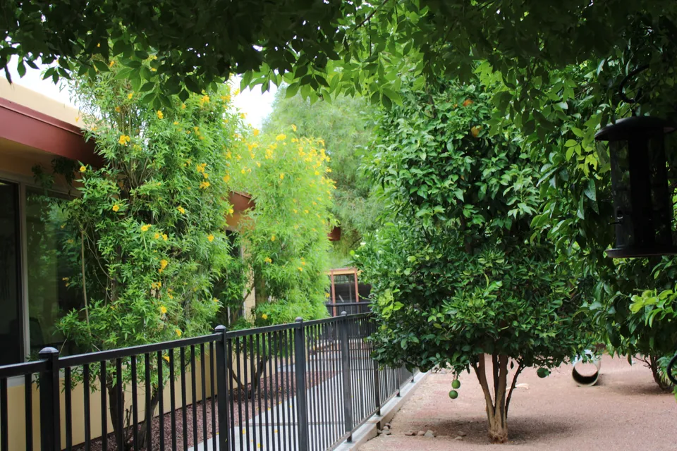 Fairmount Assisted Living & Memory Care, photo 11 of 28