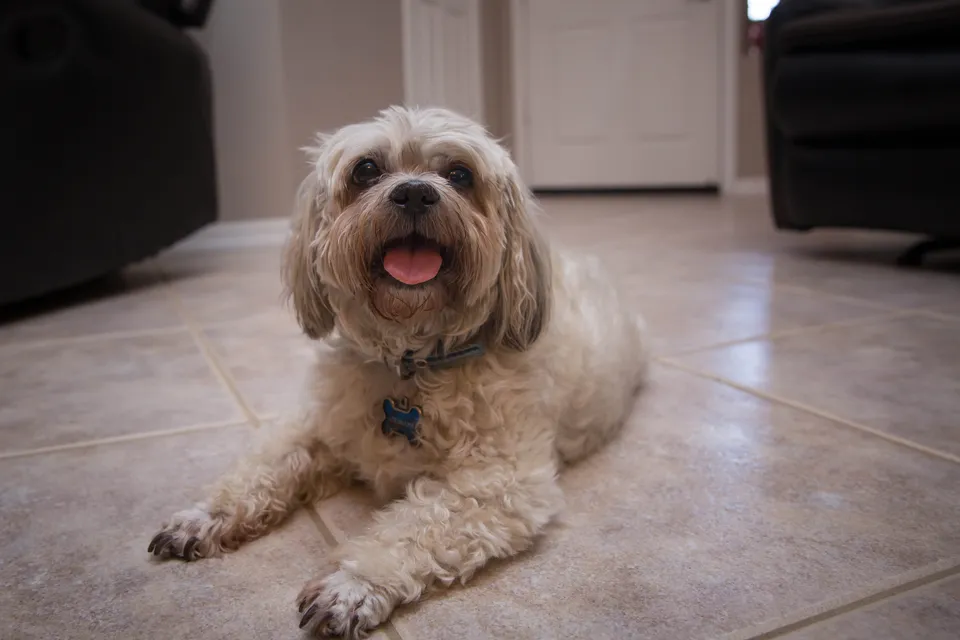 All Care Assisted Living Home & Memory Care, photo 19 of 34